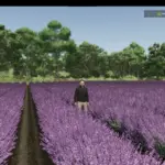 Multifruit pack Prefab v1.03