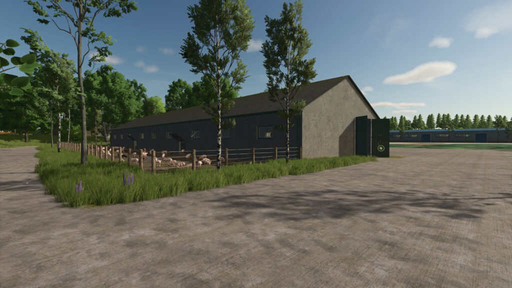 Pig Barn Medium