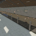 Pig Barn Medium6