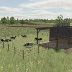 Polish Pasture For Cows2