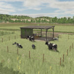 Polish Pasture For Cows3