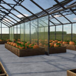 Pumpkin Melon Watermelon Greenhouses3