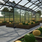 Pumpkin Melon Watermelon Greenhouses4