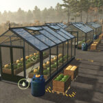 Pumpkin Melon Watermelon Greenhouses5