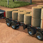 Randon Short Bulk Road Train2