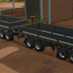 Randon Short Bulk Road Train3