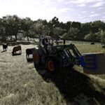 Real shader and lighting for frame generation