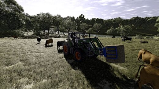 Real shader and lighting for frame generation