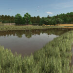 Rice Fields SA3