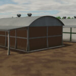 Southern Brazil Shed6