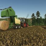 Straw texture2