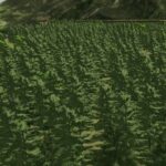 The Alps 252