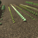 Trigger Greenhouse4