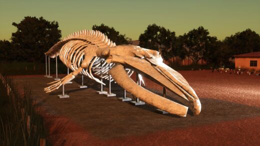 Whale skeleton