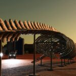 Whale skeleton3