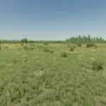 WESTERN WILDS