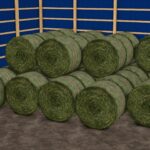 40x64 Hay Shed5