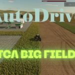 AutoDrive Juotca Big Fields 4x