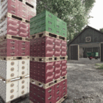 Backyard Bootlegger4