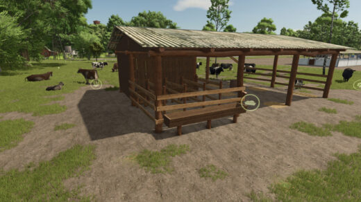 Brazilian Cow Corral