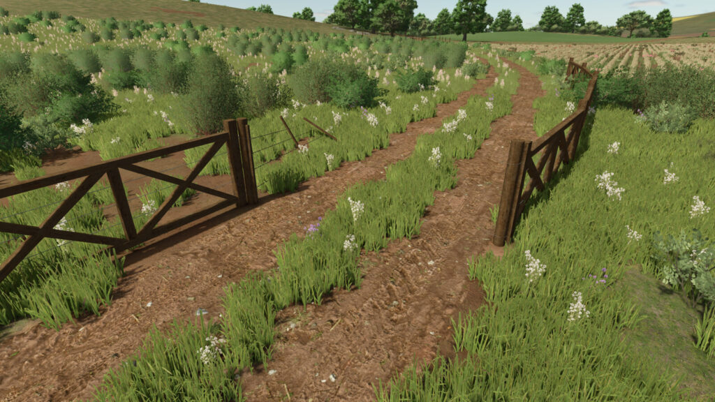 Brazilian Fences