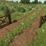 Brazilian Fences