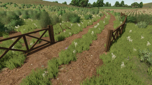 Brazilian Fences