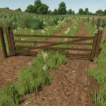 Brazilian Fences2