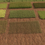 Brazilian Planting (Prefab*) V1.0