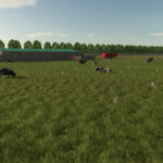 Cow Barn Pasture3