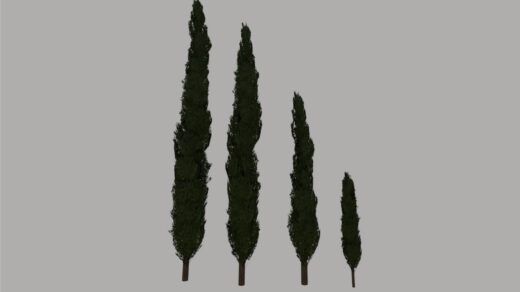 Cypress Trees Pack (Prefab) V1.0