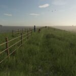 East Frisian Coast5