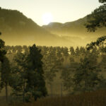 Greenwood Forest3