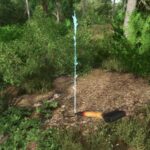 Hand Plant Saplings2