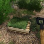 Hand Plant Saplings4