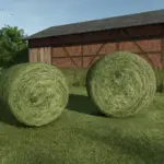 Gras/Heu Schwad Texture V1.0