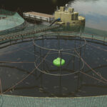 Highlands Fishing Preview13