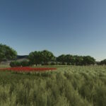 Noonesland6