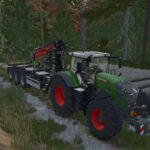 Palatinate Forest4