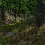 Palatinate Forest5