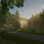 Palatinate Forest6