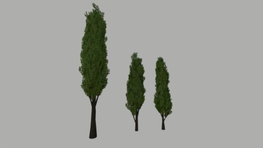 Poplar Trees Pack (Prefab) V1.0