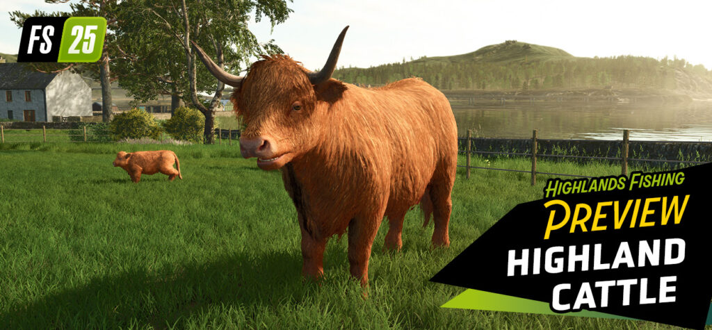 Preview Baby Highland Cattle
