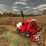 SM 12003