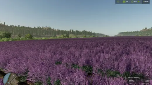 Silverrun Forest Multifruit Edition v1.0