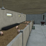 Small Pigsty3