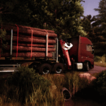 TRUEVISION FX2