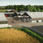 UK Dairy Barn3