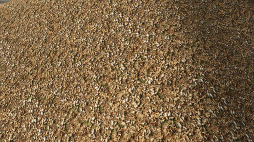 Woodchip texture