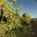 Zielonka Real Orchards Multifruit v1.0